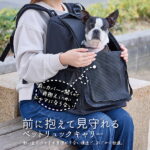 移動手段別で選ぶ猫用キャリー｜電車・車・徒歩それぞれのおすすめ